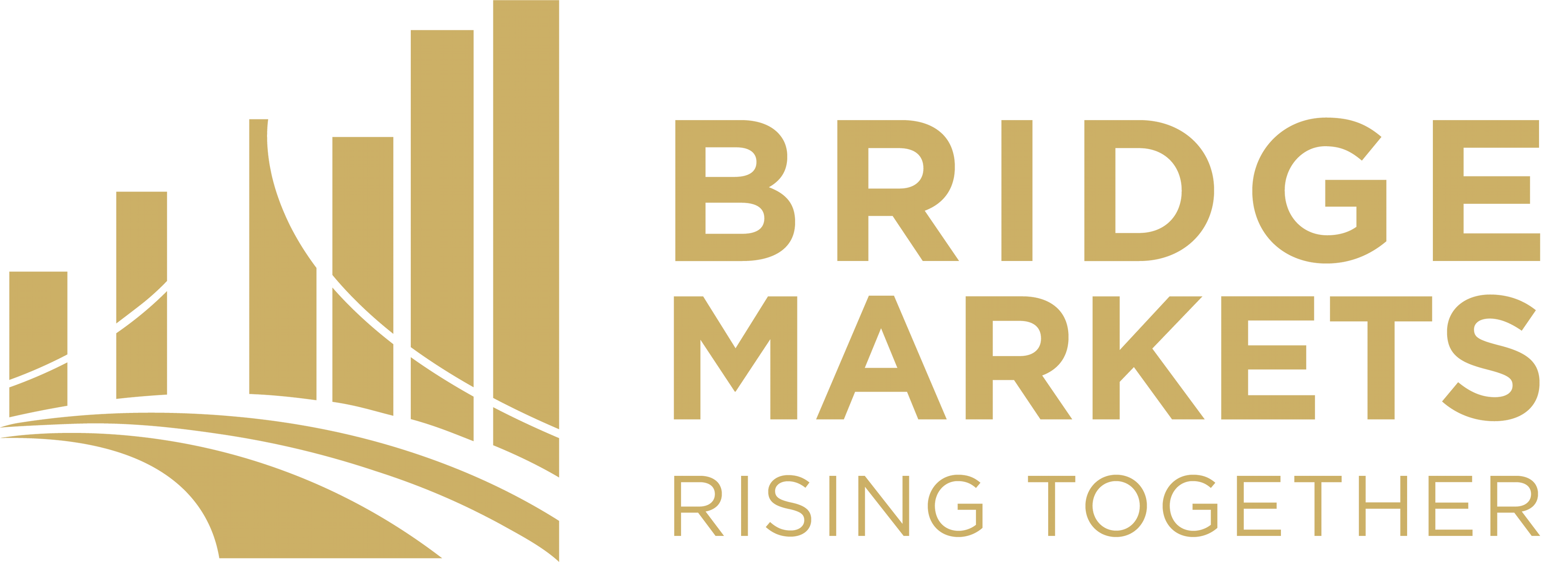 Logo Bridge Markets